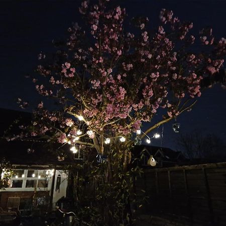 Lotus Pod House Homestay Horsell 外观 照片