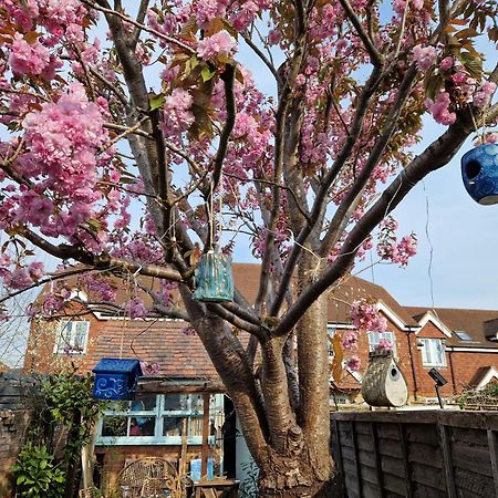 Lotus Pod House Homestay Horsell 外观 照片