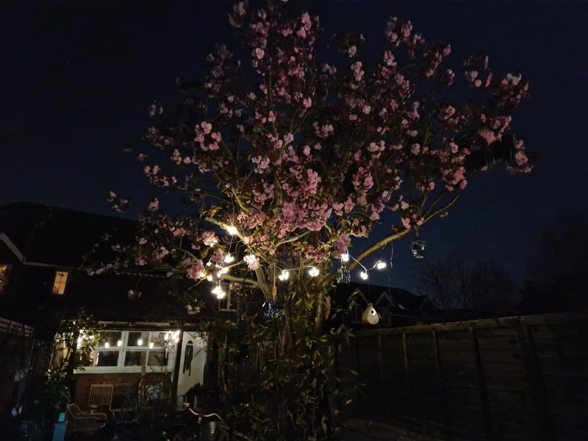 Lotus Pod House Homestay Horsell 外观 照片