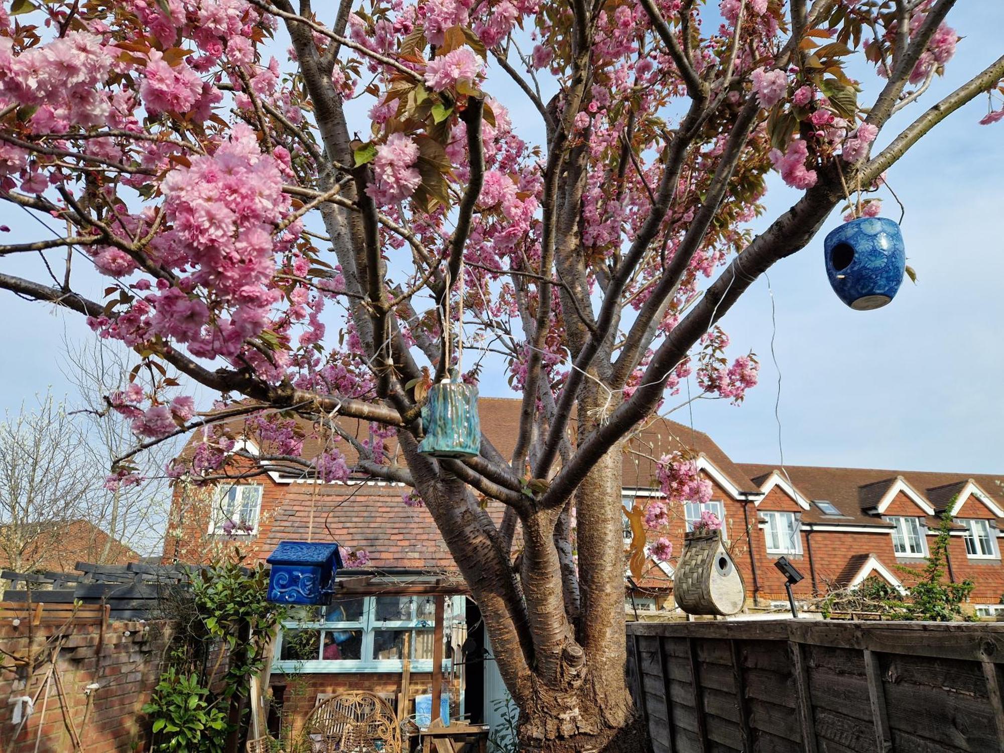 Lotus Pod House Homestay Horsell 外观 照片
