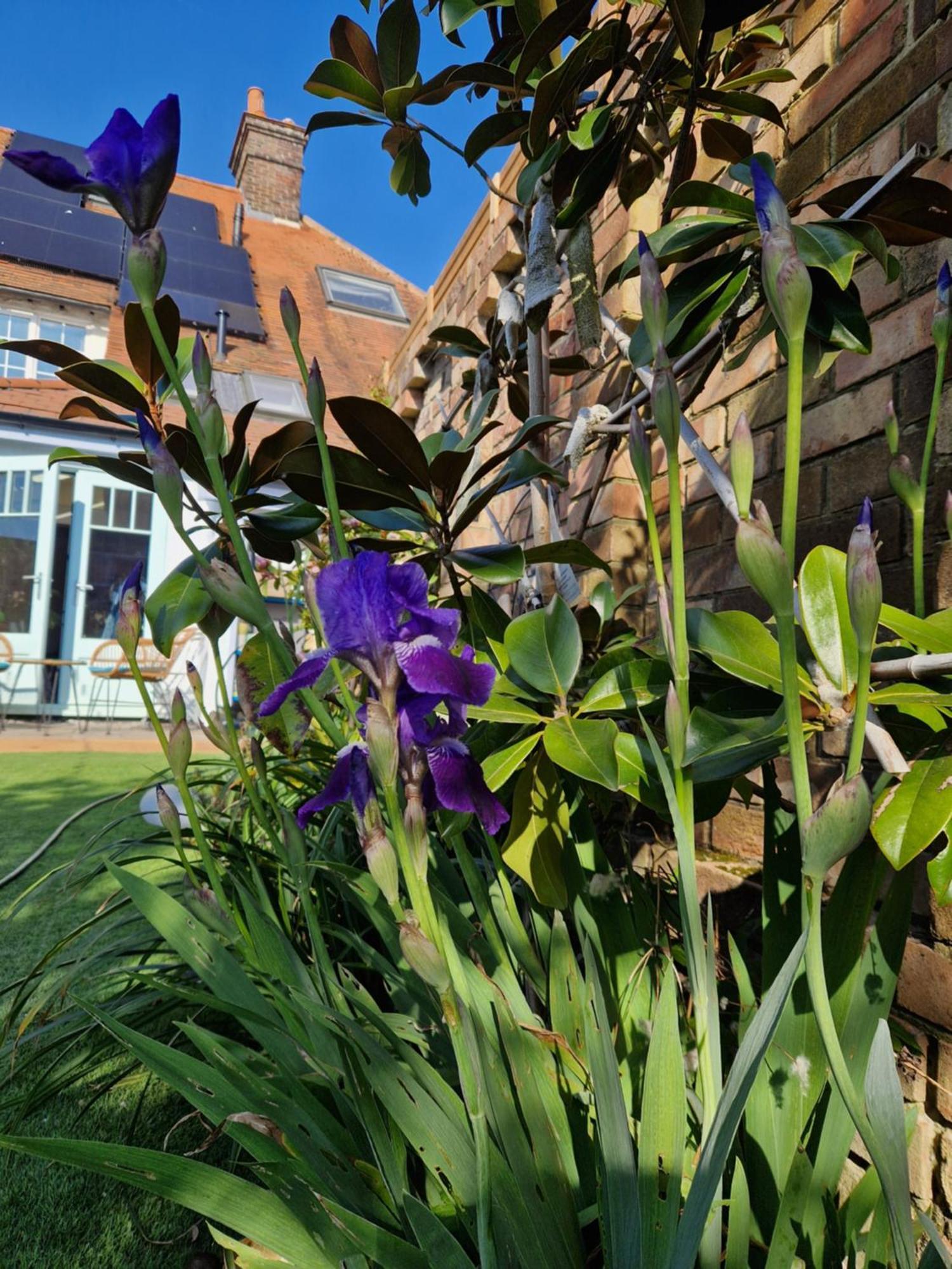 Lotus Pod House Homestay Horsell 外观 照片